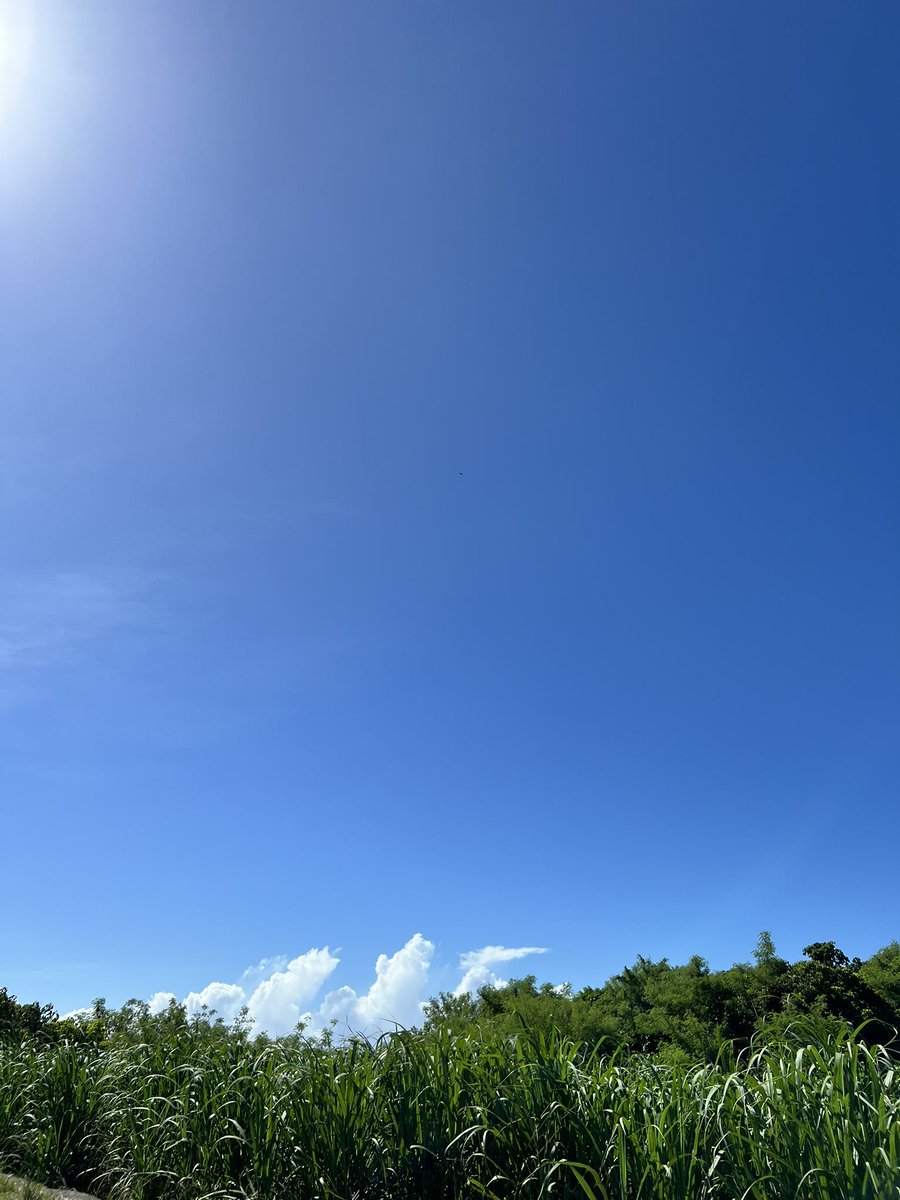 【本日定休日です】
おはようございます
低気圧離れてるはずなのにこの風の強さと湿度の高さ！