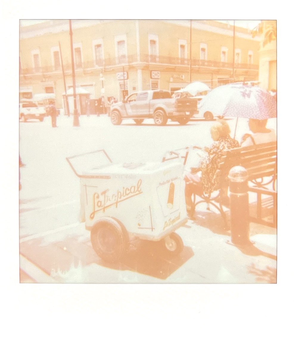 Nosotros y las nieves en polaroid 600.