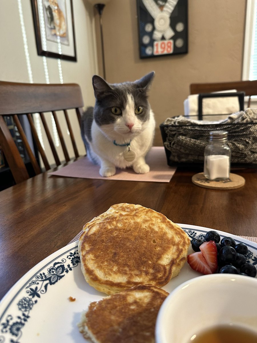Human had pancakes today without me!!