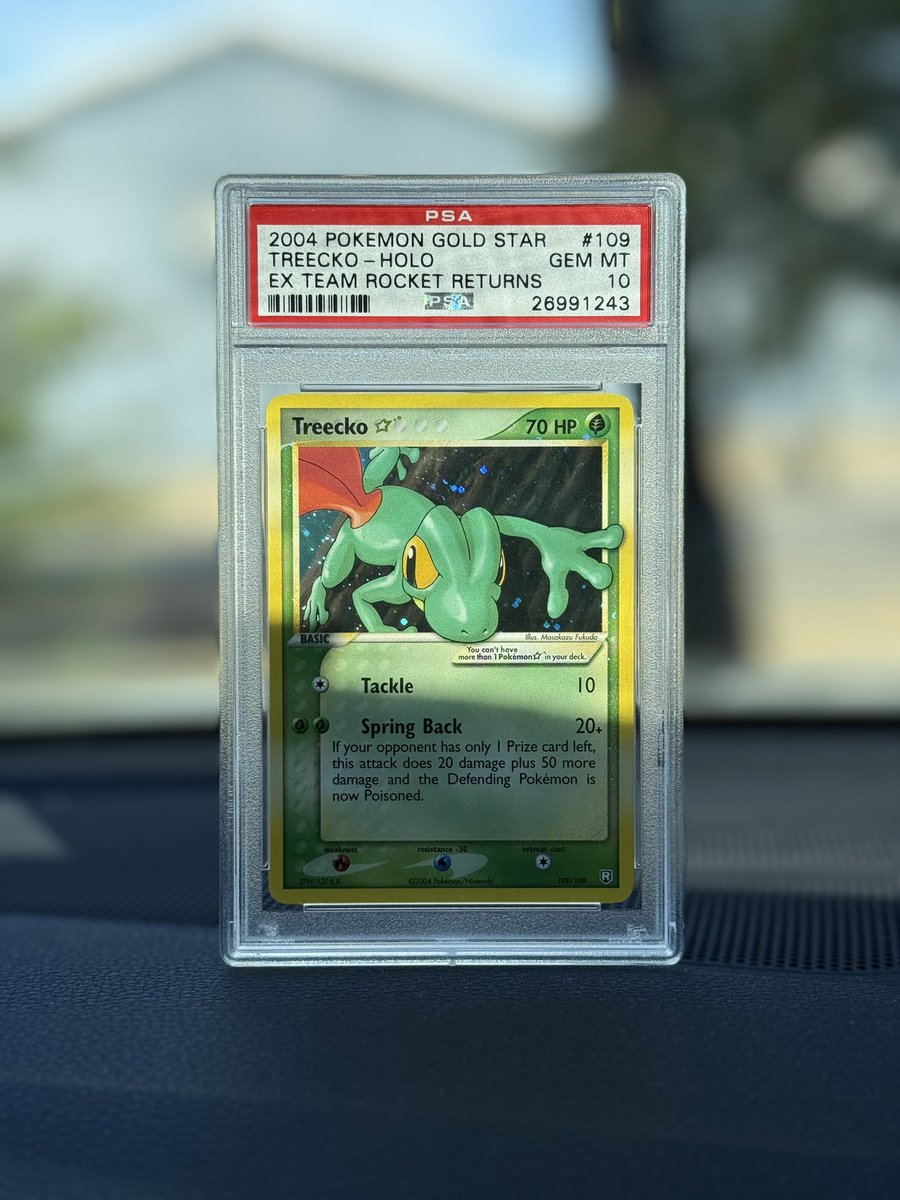 tszCards_'s tweet photo. forgot to post this gecko 😄 https://t.co/tLEnP0SL3Y