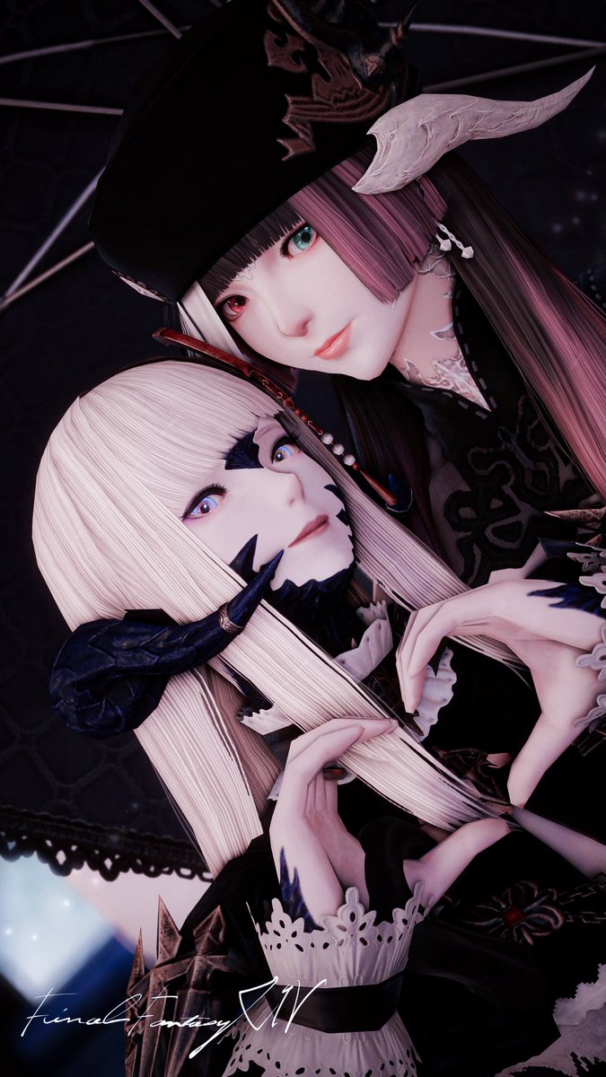 ❤︎