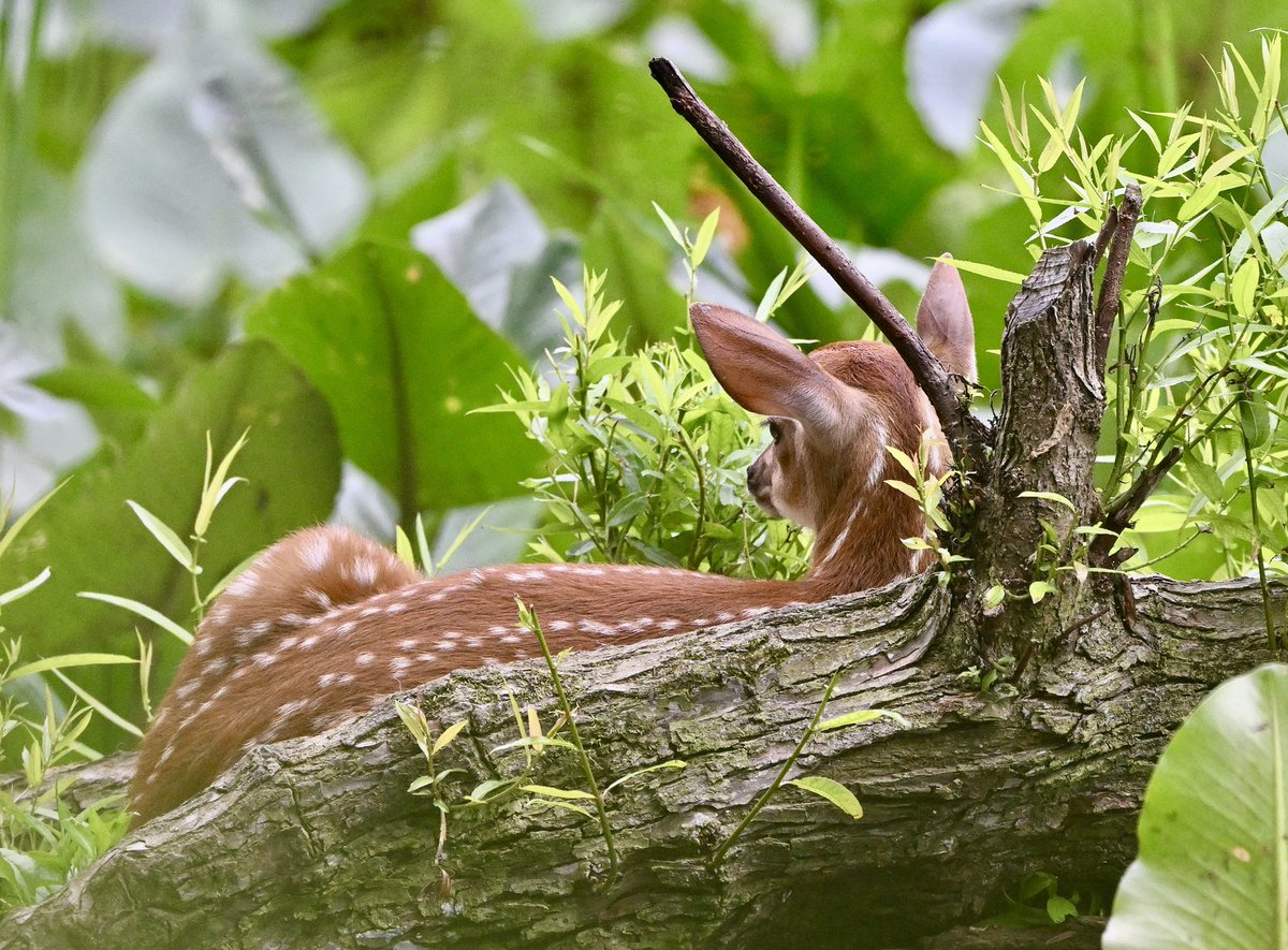 A precious sighting on the farm today 💕…