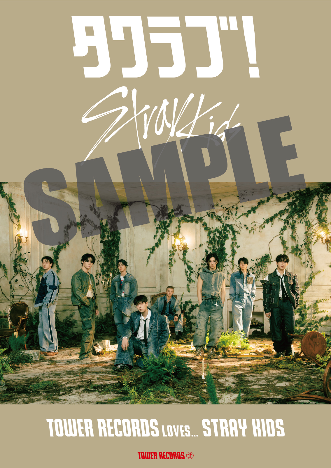 straykids Hollow タワレコ HMV ラキドロ 新品未開封　５０枚 Stray Kids Hollow タワレコ ラキドロ HMV コンプリート - メルカリ