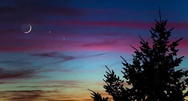 Visible Planets - When and Where to View

Ever look up and see a bright star and wonder if it may be a planet? The following guide will tell you when and where to spot…

farmersalmanac.com/visible-planet…