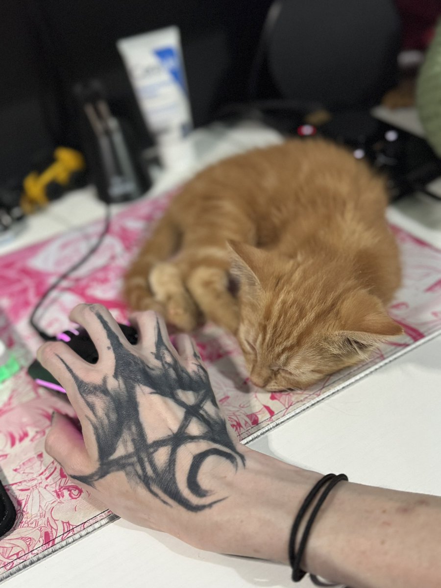 _MsMii_'s tweet photo. Just a little man named nugget. 🖤 https://t.co/SeuPN1VmSP