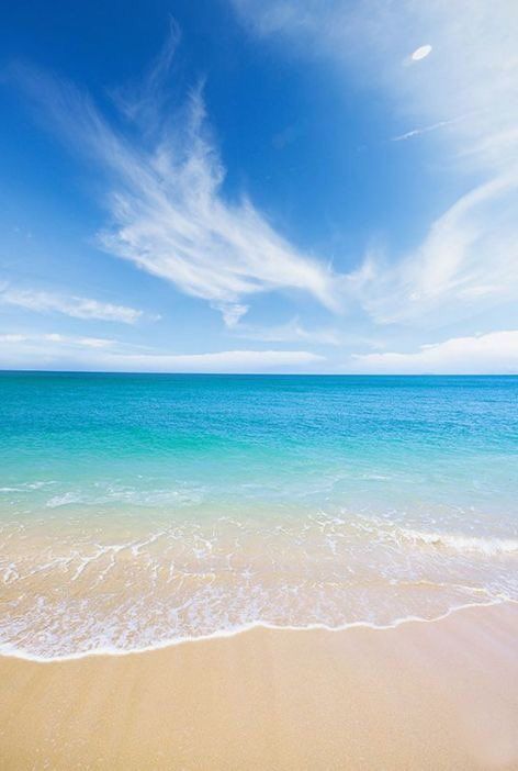 Aesthetics (@aestheticspost_) on Twitter photo 