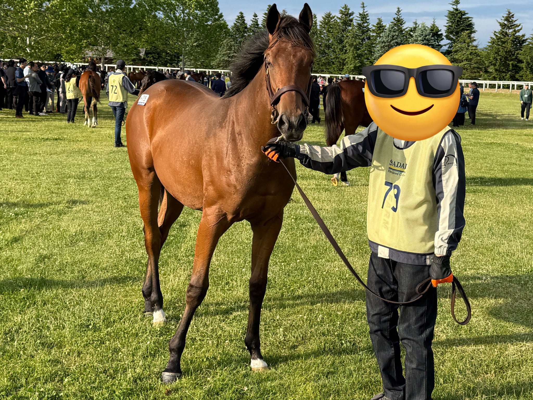 弁理士　馬場レジュメ　2018（特実） がんばれ！ホッカイドウ競馬 on X: 