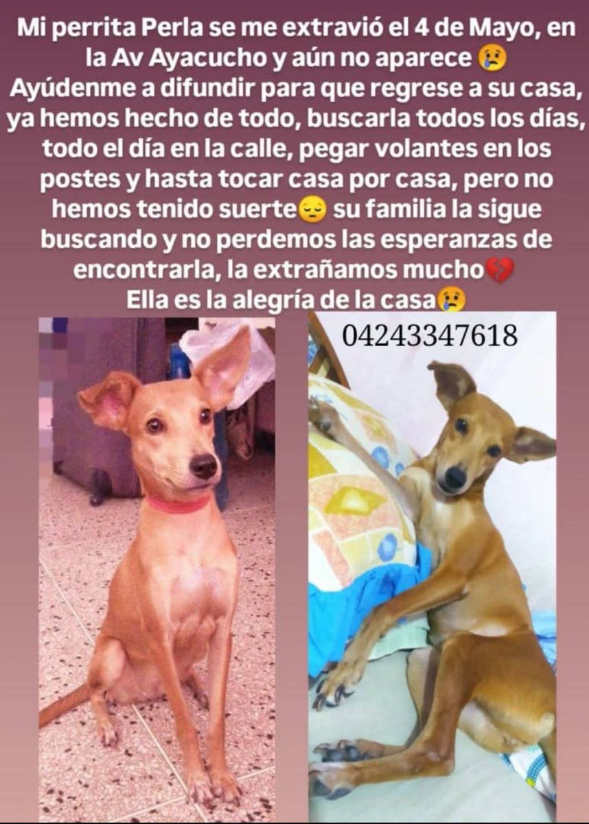 Su familia no ha dejado de buscarla, Maracay
