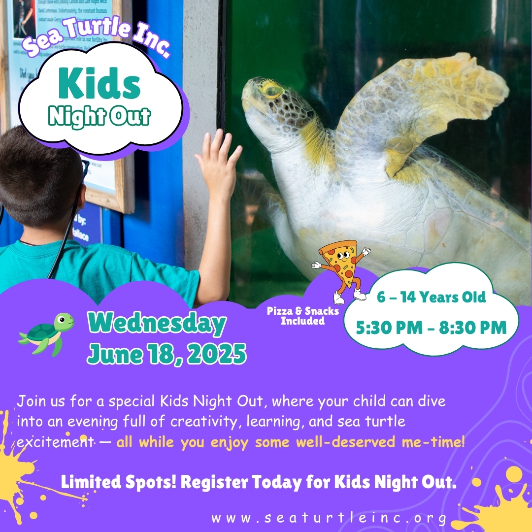 ✨ Kids Play, Parents Relax! Register for Kids Night Out.

🍕 Meal included

Kids will learn about their unique traits, habitats, and how Sea Turtle Inc. works to protect them.
🕔 5:30 PM – 8:30 PM
📍 Sea Turtle Inc.
💵 $50 per child
Register now: ow.ly/SXf250UIrh0