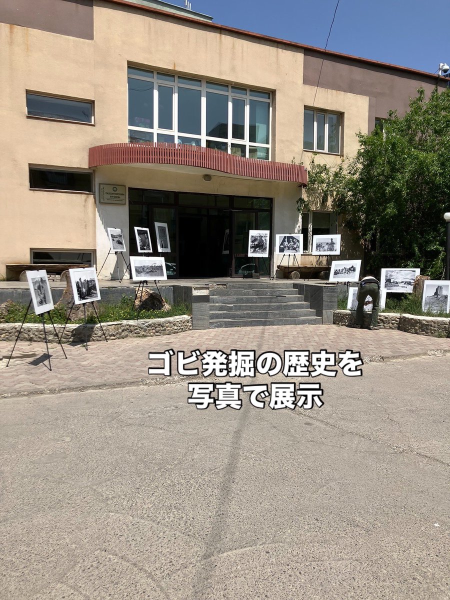 OUSDinosaur's tweet image. 🌏モンゴル恐竜研究の中心地IPMAS🦖✨

恐竜学科の教員が研究を行っているIPMAS（モンゴル科学アカデミー古生物学研究所）🥼世界から多くの来訪者が訪れます。先日はゴビ砂漠恐竜発掘100年を記念する特別な訪問も🦕新たな発見が生まれるよう、恐竜学科も頑張ります！🦴

#恐竜学科 #モンゴル