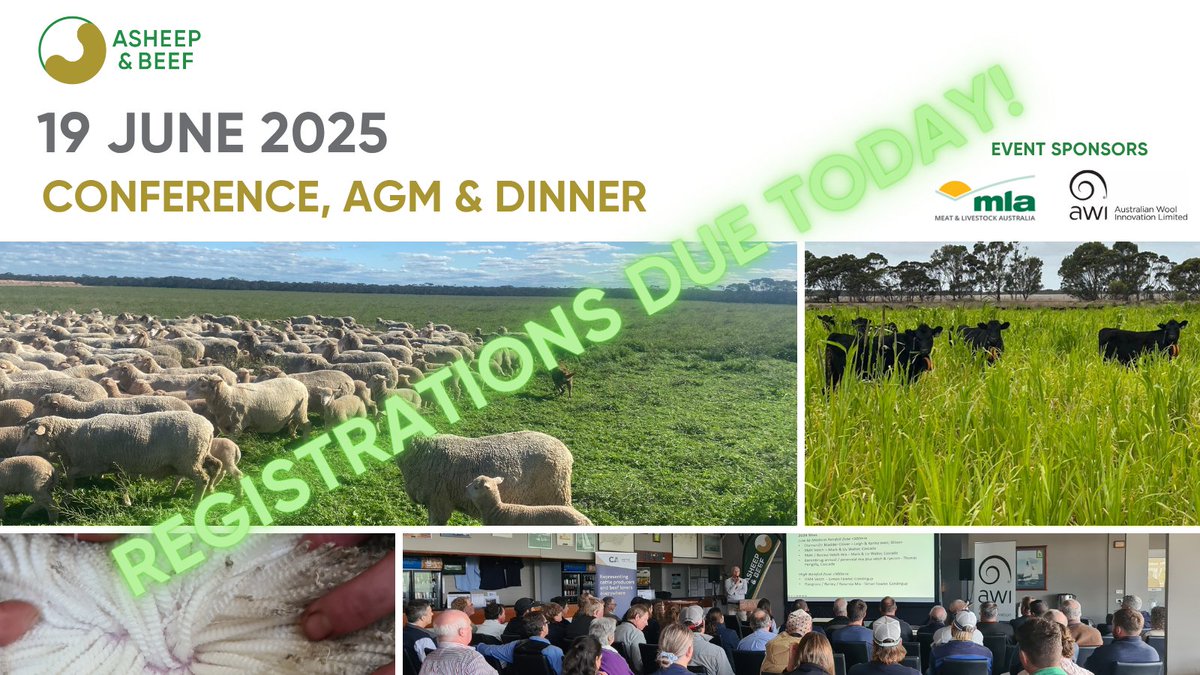 🔊Registrations for ASHEEP &amp; BEEF's conference &amp; dinner are due in TODAY (Monday)! Hope you can be there on 19th June 2025 at Esperance Bay Yacht Club. Agenda &amp; tickets here: asheepbeef.org.au/events