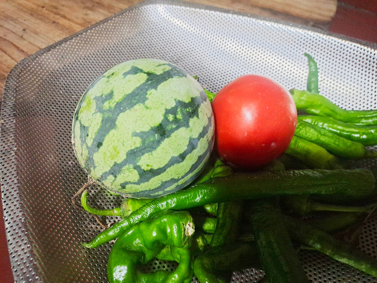 cherrybaby377's tweet photo. The watermelon and tomato grown by oneself are really delicious https://t.co/3GX2FFXNLv