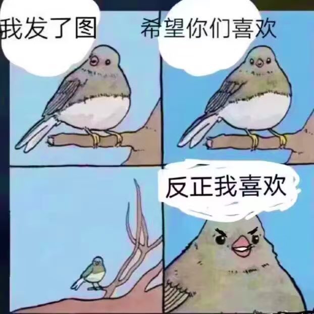 不要当狗(想谈恋爱版) tweet media