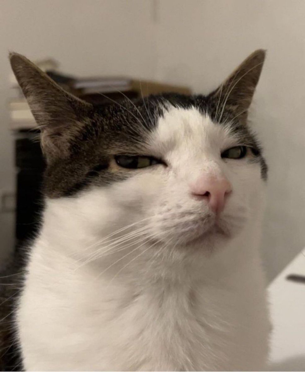 I stg anytime it’s raining outside it’s also raining in animal crossing