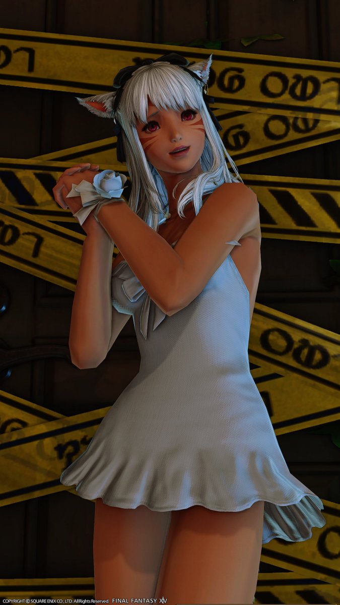 ⛔️? 😭🙏
<a href="/wulfskiffxiv/">Wulfski犬神</a> 
#FF14 #ミコッテ #miqote