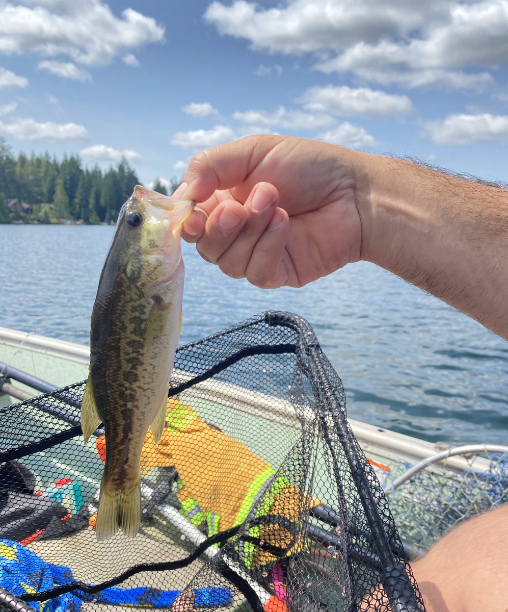 First fish of the year.

Mission accomplished. ✊

What did you do for Father’s Day?