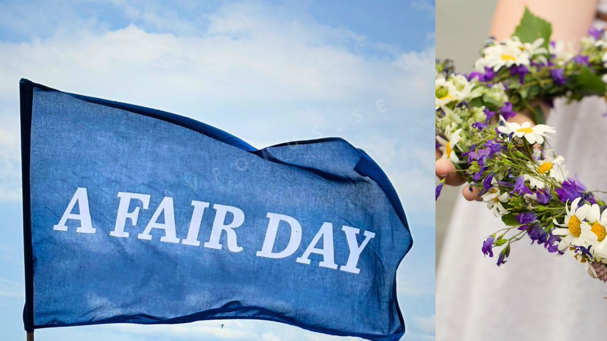 Vi går in i Midsommarveckan med mycket fin travsport att vänta! 

Veckans agenda finner du via
Patreon.com/travfokus