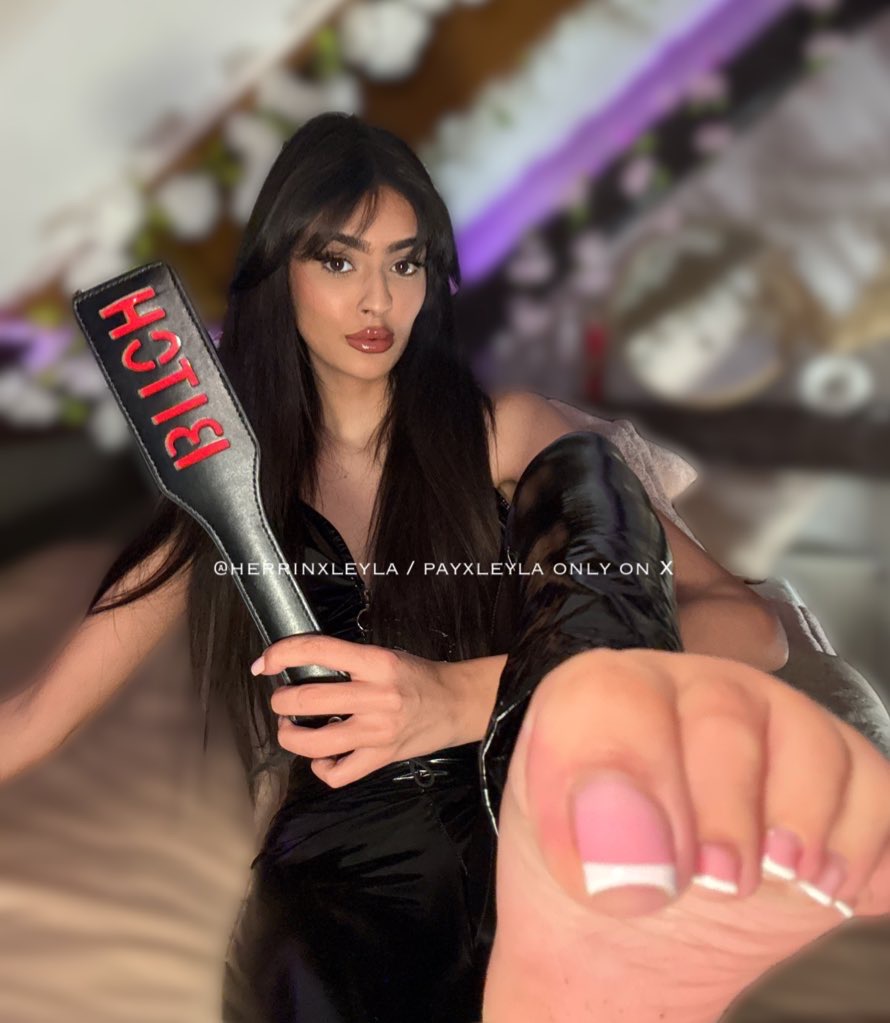 princess leyla tweet media