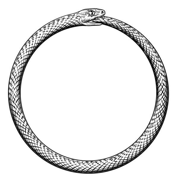 woob1ns's tweet photo. if we dont get snake concept pics i hope we at least get some sort of ouroboros reference in the mv, its just fits so well the rebirth concept, the cycle of life death and rebirth and how things never truly disappear they are just changed https://t.co/RTa9E1lZDL
