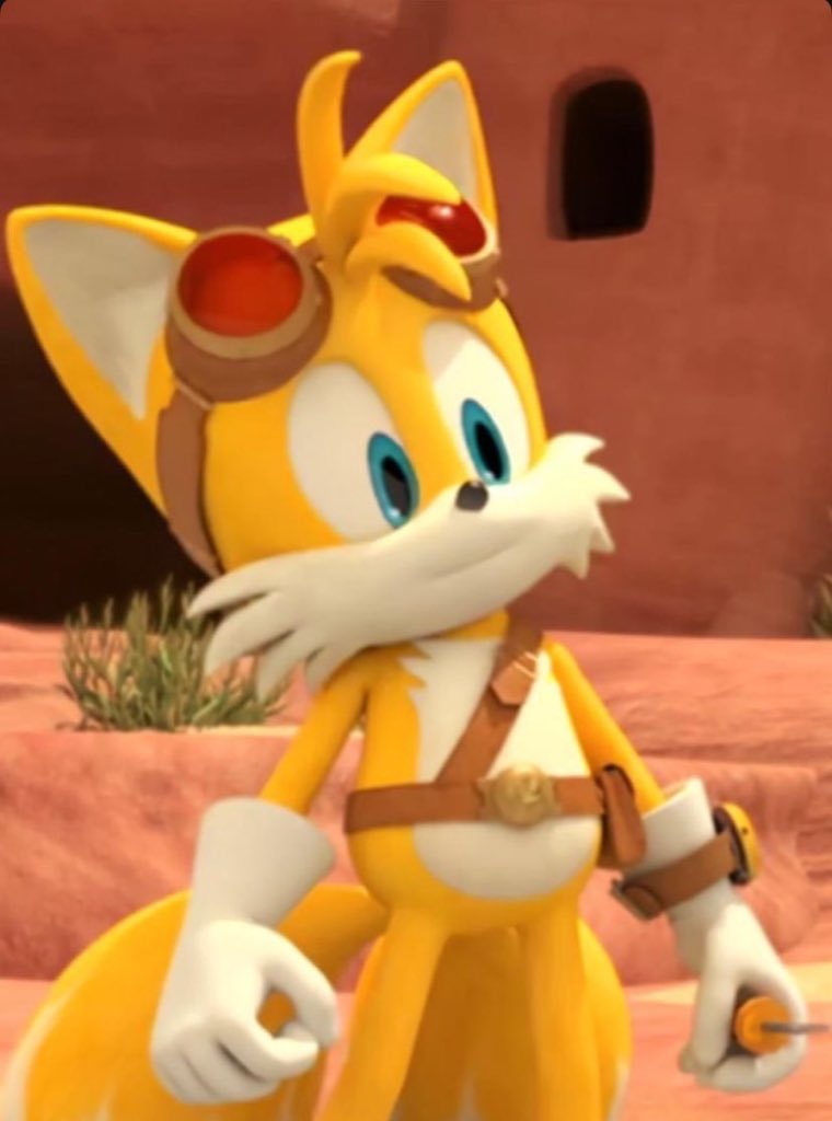 CEO Of Boom Tails and Sonic Boom tweet media