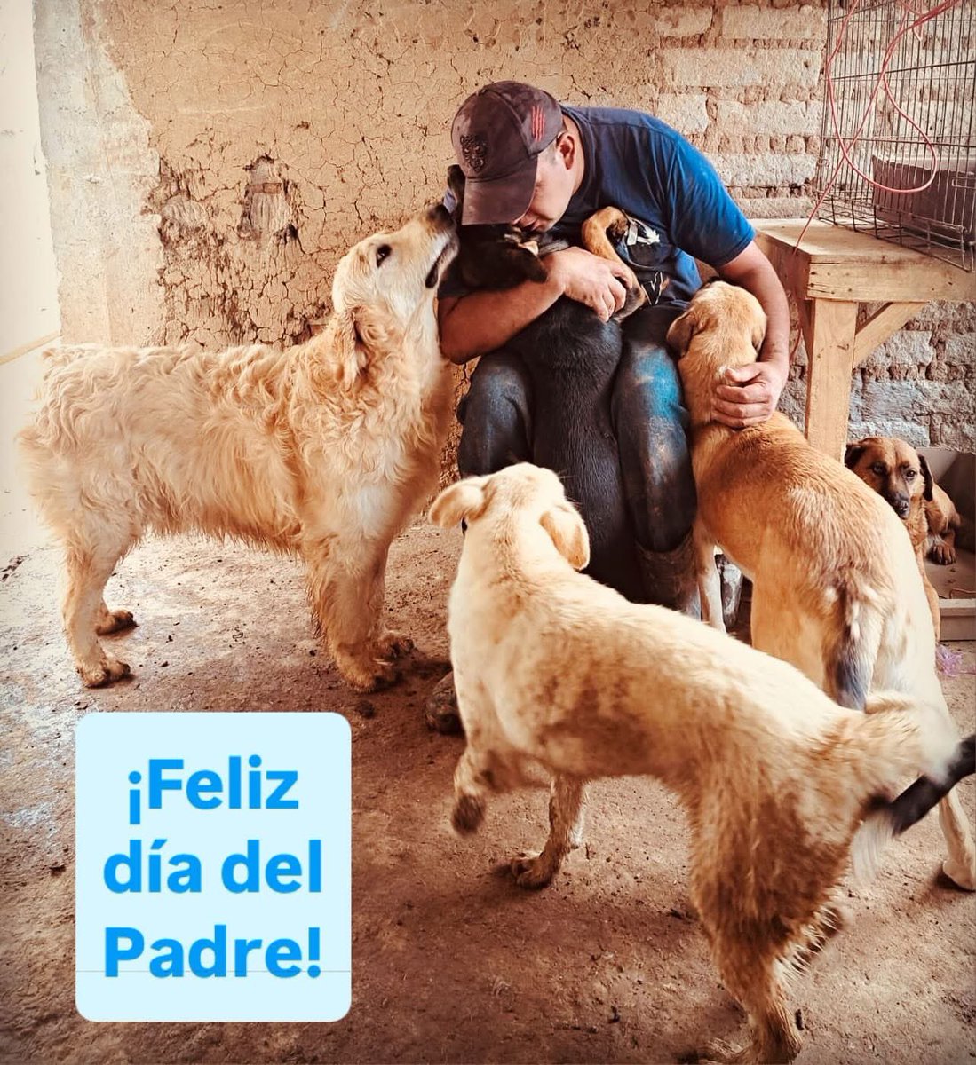 ¡Feliz y perronsísima felicitación a todos los papás de personitas, perrhijos, gathijos que como Adolfiño dan cariño y educación a sus hijit@s!! 🥳 👦🏻 👶🏼 👧🏽 🐶 🐈 

#FelizDiaDelPadre