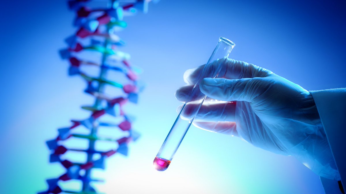 Haemochromatosis is a common genetic iron overload condition — but often missed.

A simple HFE gene test can help identify your risk early. Learn more:
📄 pathologytestsexplained.org.au/ptests.php?vie…
#Haemochromatosis #GeneticTesting #ironoverload @pathologytests