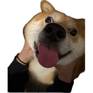 Terilune's tweet photo. @DiamondShibe yeah, after I TURNED ON power and NEARLY DIED doing so for you https://t.co/NRjBDe2UE0