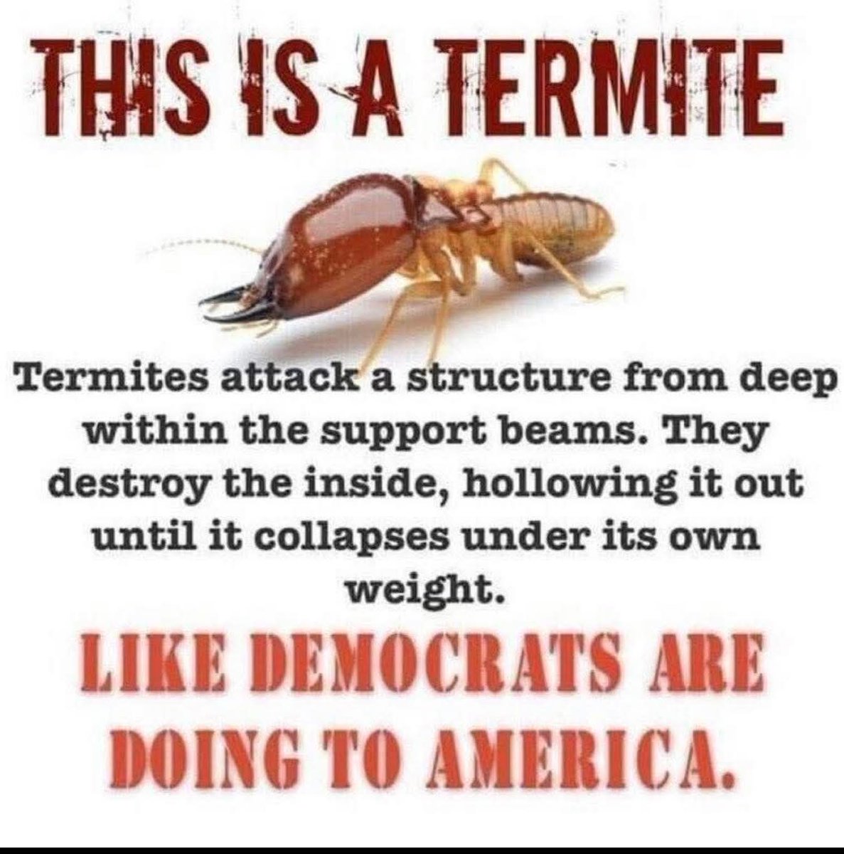 The Democrats are trying to destroy our great country! 🤨