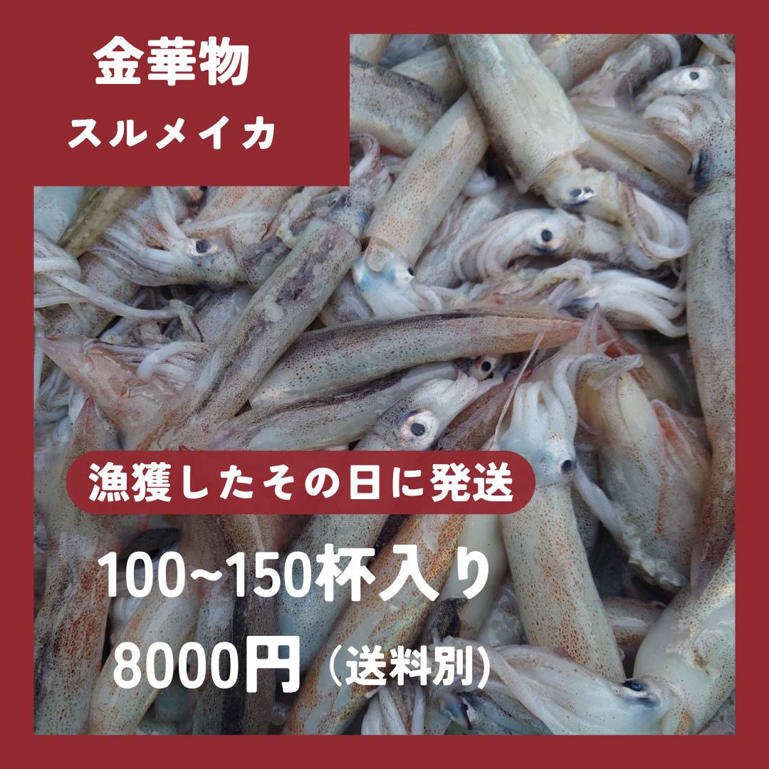 kaito_suisan's tweet photo. 【スルメイカ販売】
金華山付近で漁獲したスルメイカをSNS向けに小売りします!

▪️1ケース100~150杯入り
▪️全長20cm程(前後するのはご容赦を)
▪️刺身、煮付け、一夜干しなどに
▪️受注生産(数量限定)
料理好きや飲食店さんもどうぞ😊

気になる方はDMや 08028227817
LINEまで!

拡散お願いします︎︎🙇‍♂️ https://t.co/h9sbrpzQ4y