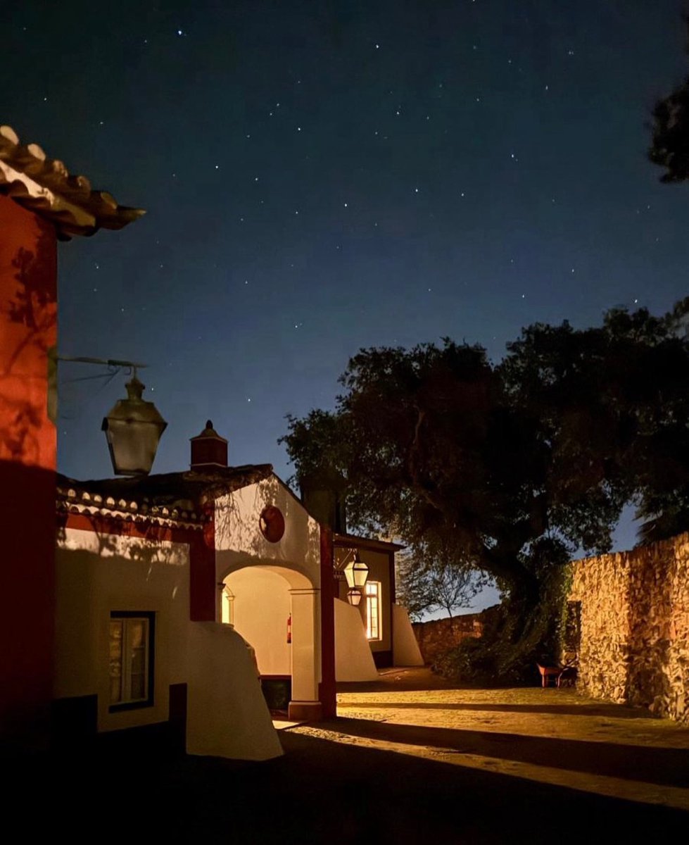 Under the Alentejo stars…
When night falls at Monte da Provença the magic begins. ✨
The quiet, the warm lights, the whispering trees and a sky full of stars — all come together to offer you a moment of stillness and wonder.
Let nature be your luxury. 🌌
#NatureRetreat