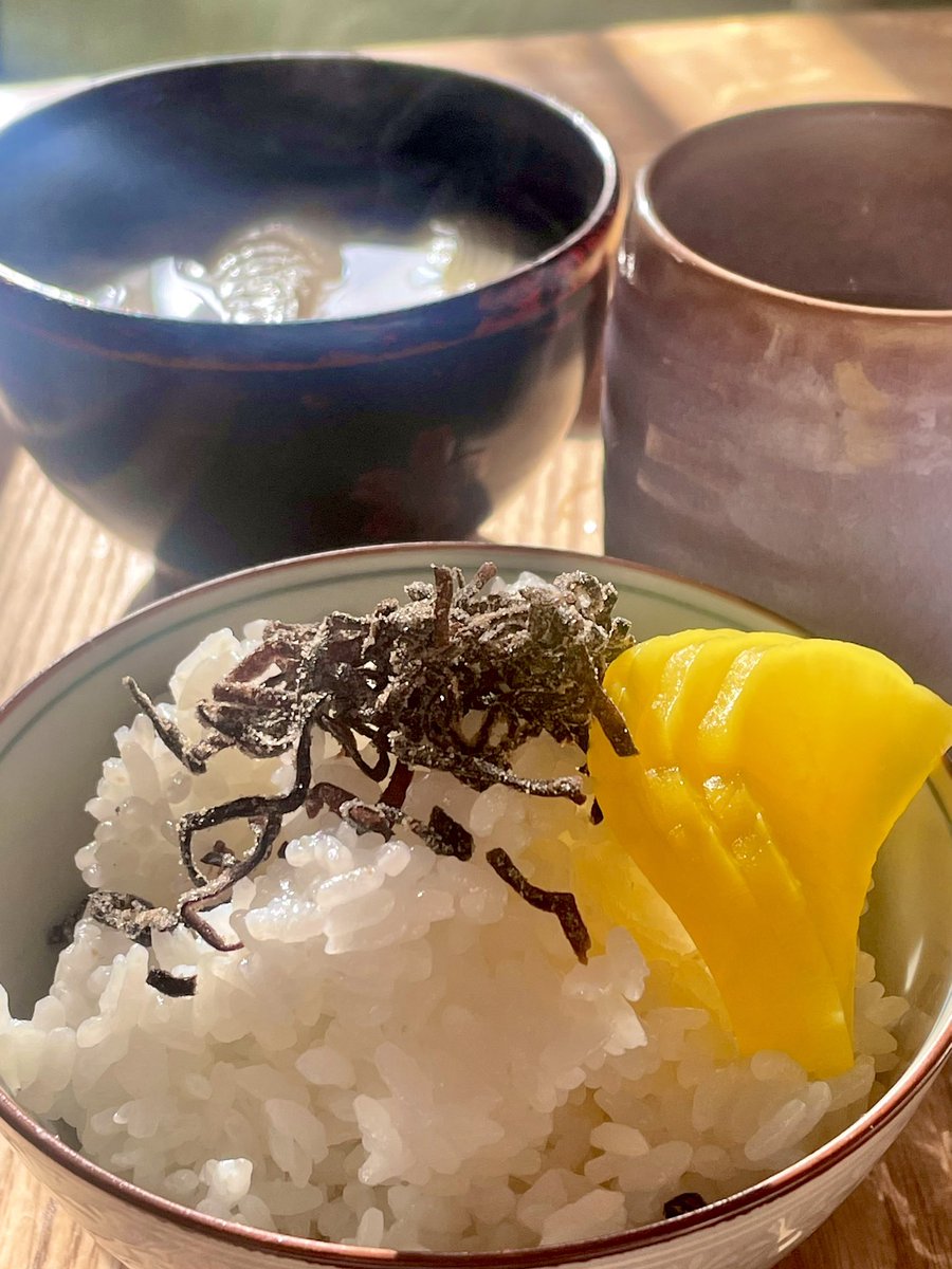 朝ごはん🍚
暑くなりそうな1週間ですね💦

さてと今週も頑張りましょか💪

#朝ごはん #おうちごはん #ごはん 
#料理好きさんと繋がりたい