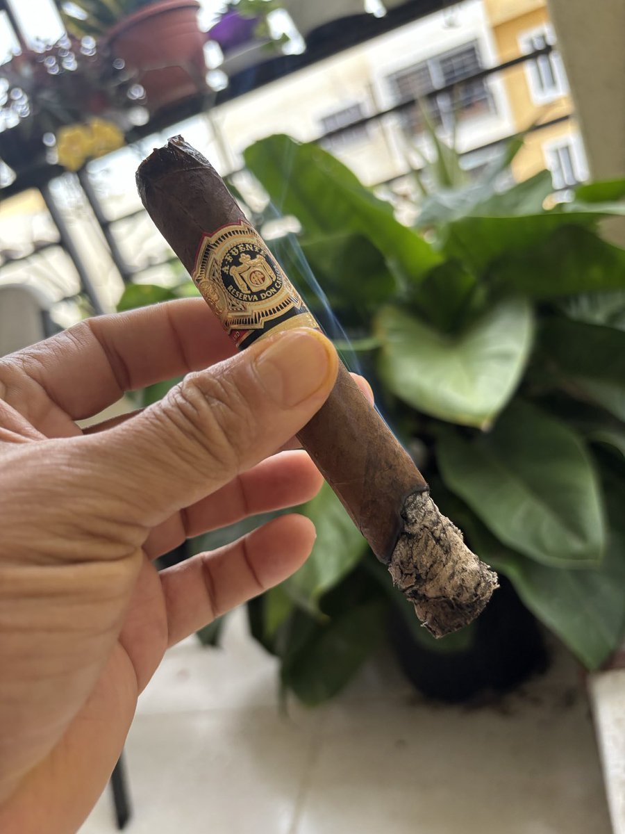 Una delicia don carlos doble robusto