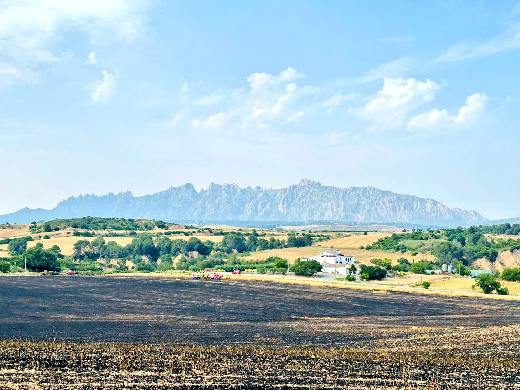 Durant la guàrdia d'avui hem treballat en diversos serveis:
-Rescat d'un gat
-Columna de fum, es tractava d'una crema controlada
-Suport al <a href="/semgencat/">SEM. Generalitat</a> per evacuar a un pacient per façana
-Incendi de vegetació a Masquefa
<a href="/AjSitges/">Ajuntament de Sitges</a> <a href="/policiaSitges/">POLICIA DE SITGES</a>
