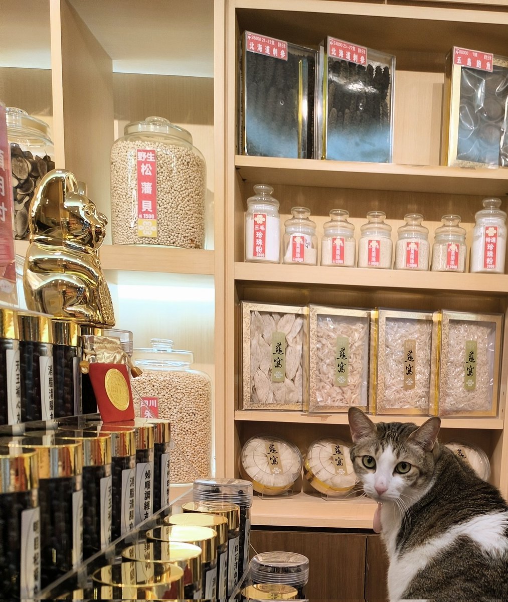 aki_yangon's tweet photo. 2025/4/30〜5/3　📍台湾

かごバッグ買ったお店の犬さん
カラスミ買ったお店の猫さん
建物や路地裏も歩いてて楽しい

今度は台中も行こう

飛行機＋ホテル＝35,000円
現地両替4万円(約9,000台湾ドル) https://t.co/GaoTNANSWP