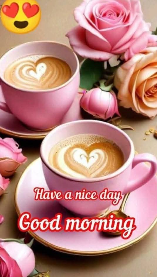 Good morning #xfriends #twitterworld #everyone #x 🌼