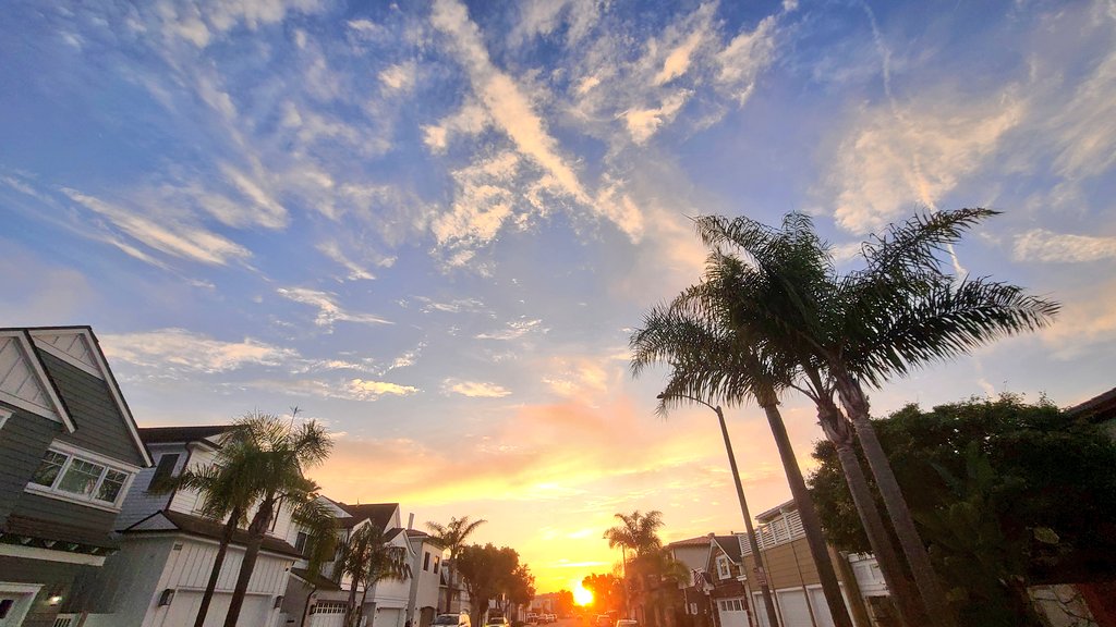 PSG Official Supporters Club Alberta tweet media