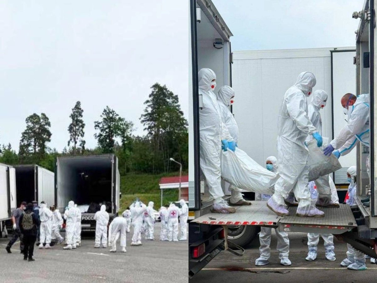 дед Слава (@brainsapiens) on Twitter photo 