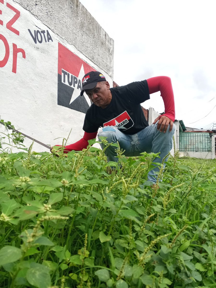 Mrt_Pedraza2's tweet photo. La Militancia del Movimiento Revolucionario TUPAMARO, continúa con la limpieza y acondicionamiento del área donde tenemos nuestros murales y está vez le corresponde a el sector cuatricentenaria.
#Tupamaroejemplodelucha https://t.co/oVNrHCRQMF