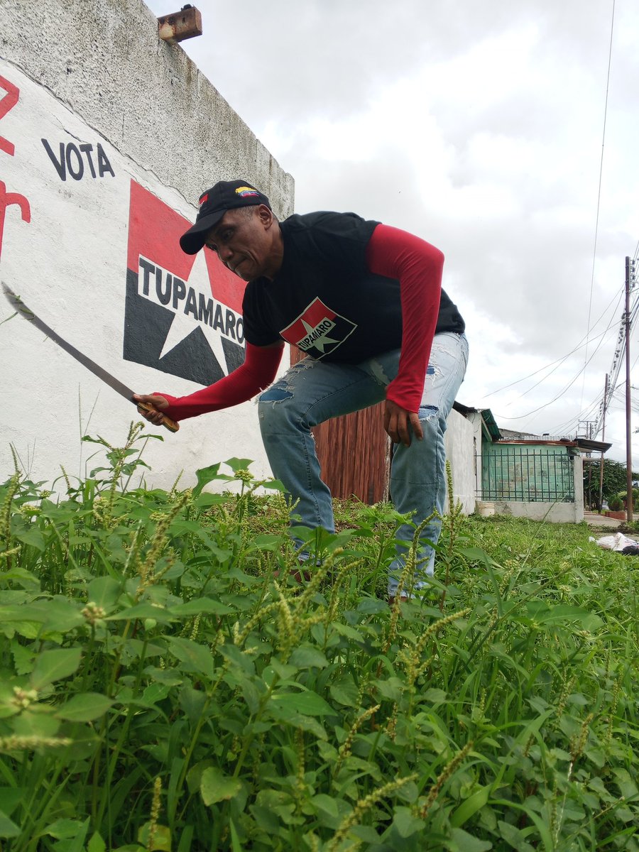 Mrt_Pedraza2's tweet photo. La Militancia del Movimiento Revolucionario TUPAMARO, continúa con la limpieza y acondicionamiento del área donde tenemos nuestros murales y está vez le corresponde a el sector cuatricentenaria.
#Tupamaroejemplodelucha https://t.co/oVNrHCRQMF