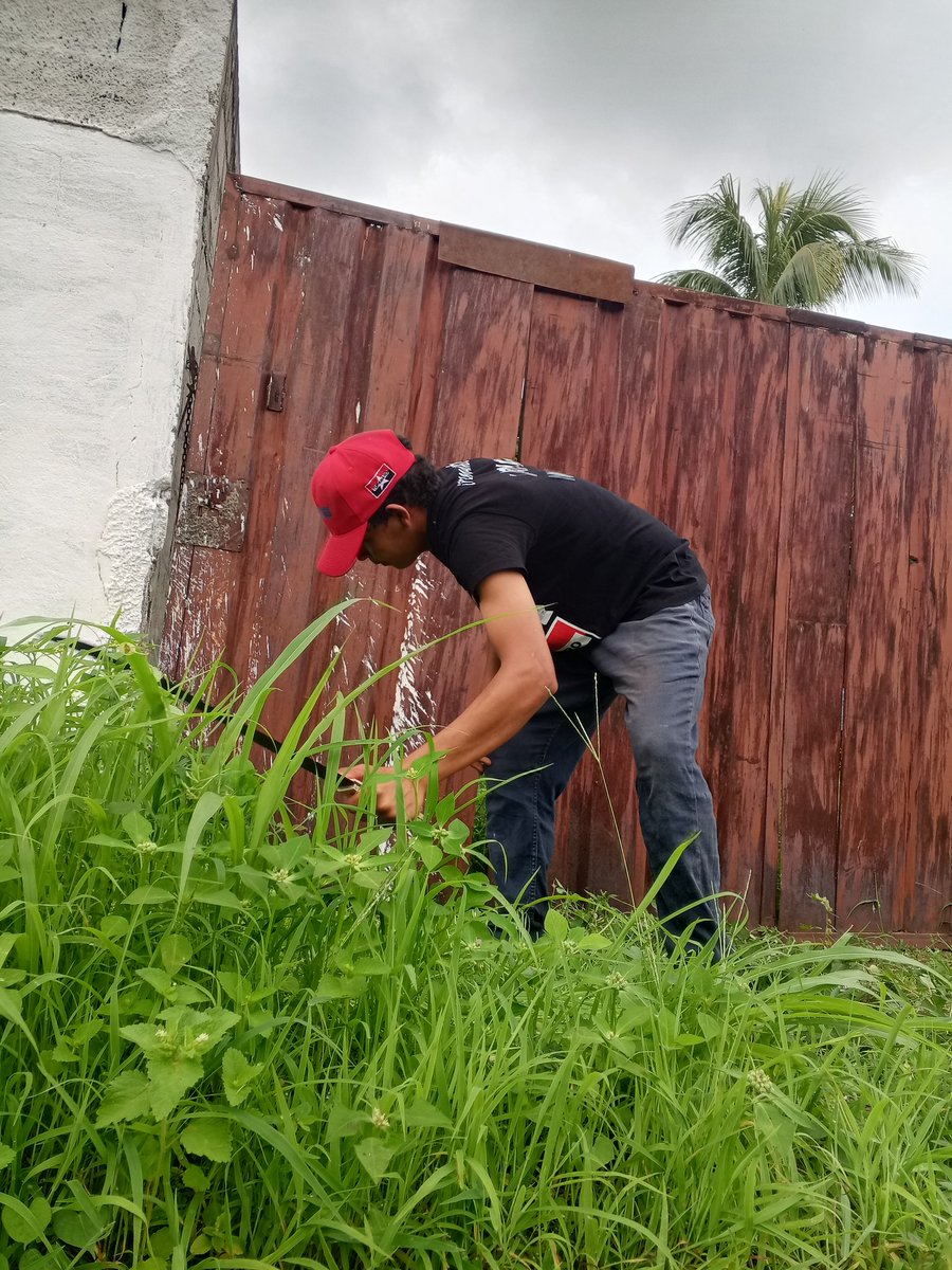 Mrt_Pedraza2's tweet photo. La Militancia del Movimiento Revolucionario TUPAMARO, continúa con la limpieza y acondicionamiento del área donde tenemos nuestros murales y está vez le corresponde a el sector cuatricentenaria.
#Tupamaroejemplodelucha https://t.co/oVNrHCRQMF