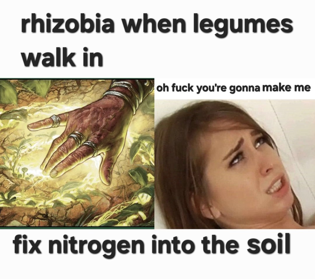 dALITAthis tweet media