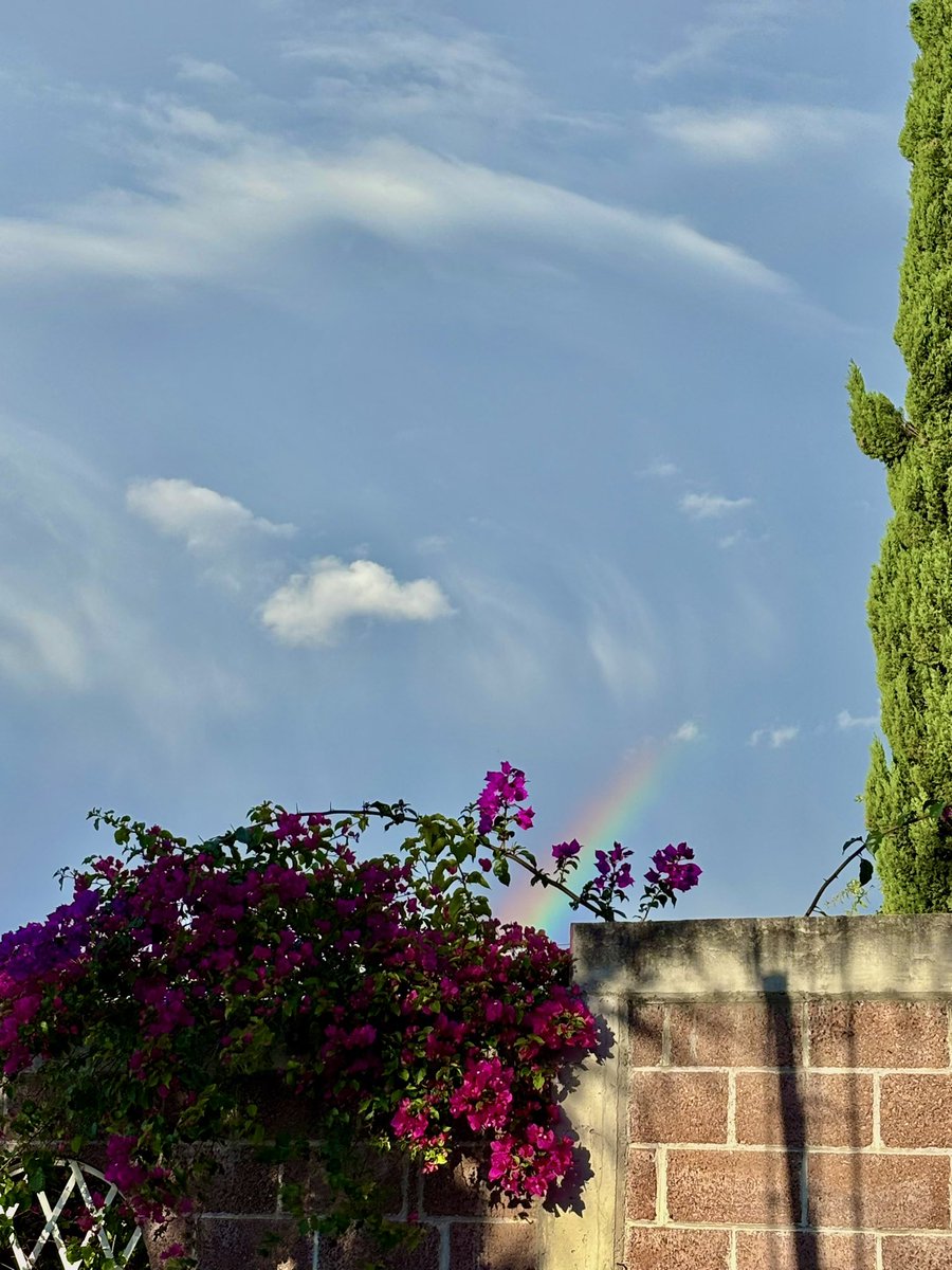 becamnt's tweet photo. La magia de la lluvia 🌧️☔️☀️🌈🪻🧚🏼 https://t.co/1KxhwvZ8uo