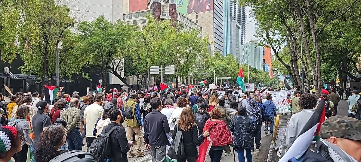 luzmoren's tweet photo. MARCHA por PALESTINA
#CDMX
#LibrePalestina
¡No es una Guerra es Genocidio! https://t.co/11c4qvTPCF