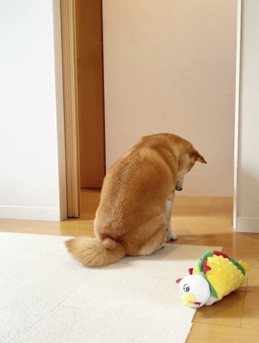 出勤前に仕事辞めたい気分にさせてくる犬…