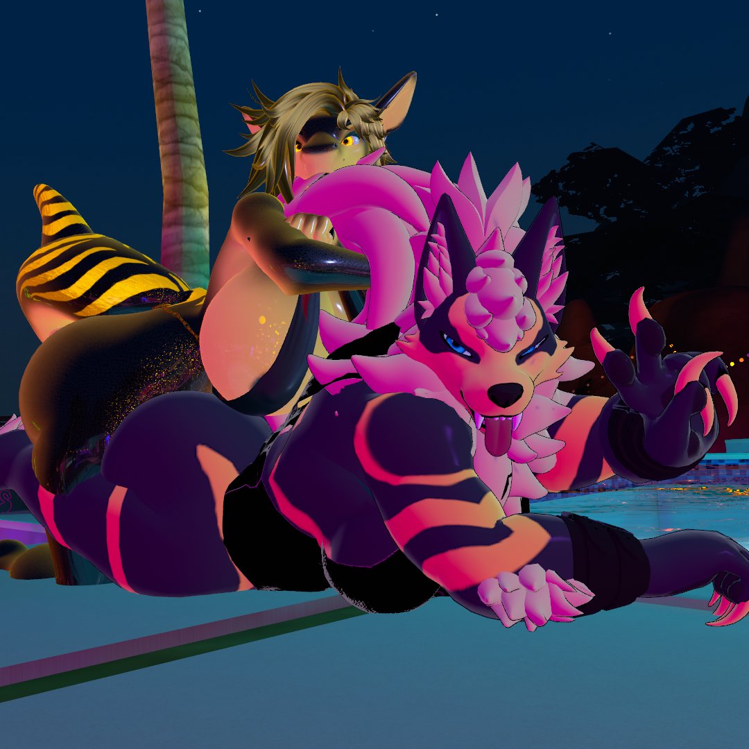 Starting shark week a bit early lol