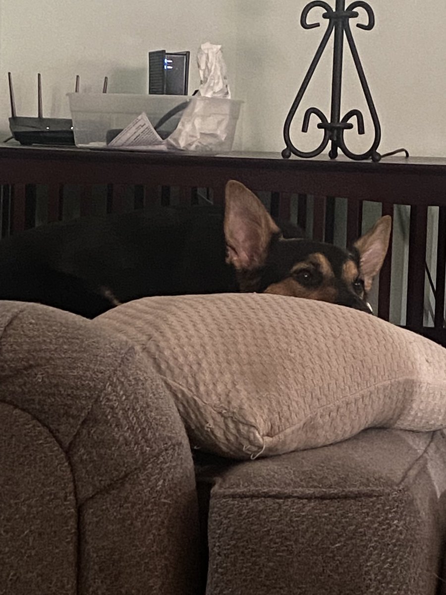 Good Evening Goobers,

I hope you’re having an incredible morning, afternoon, evening, or night wherever you are!

Happy Fathers Day to all the Daddy’s out there! I hope you’re having a nice time spending it with the fam.

I had to work the entire day today. Then, I was like “I