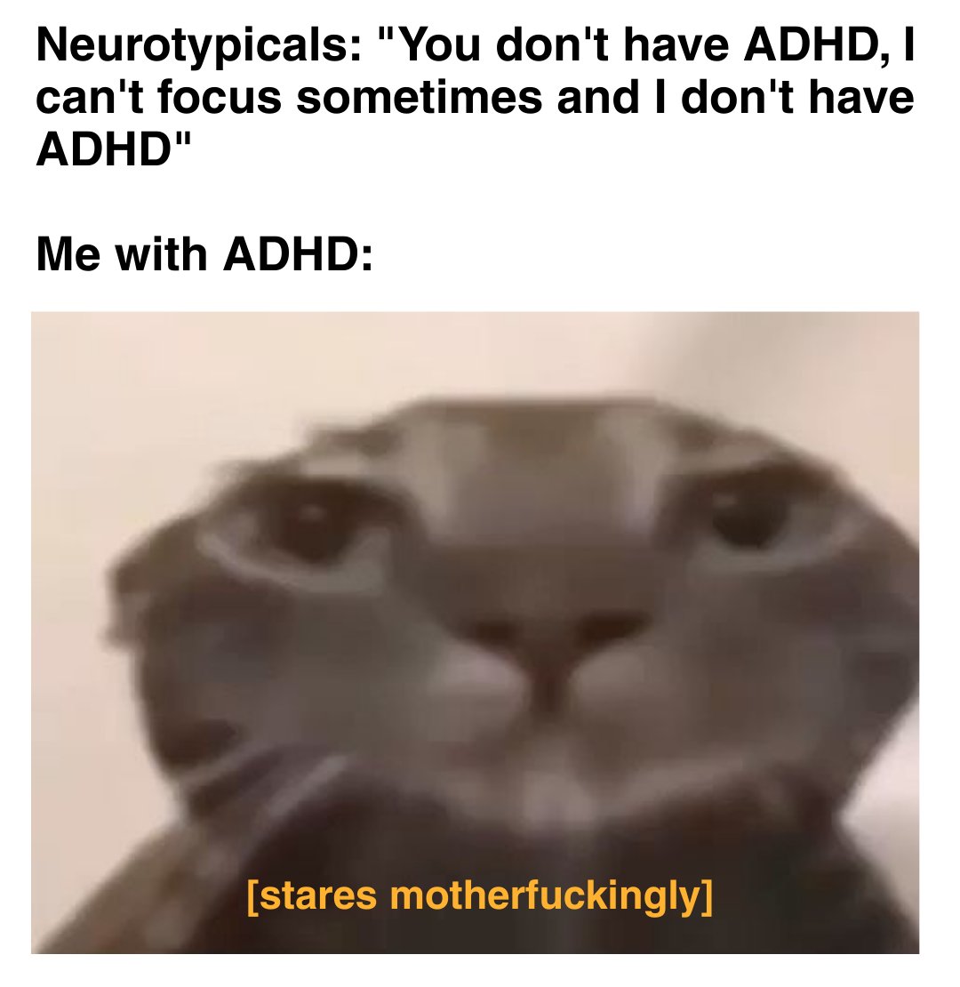 adhdcatmemes's tweet photo. #adhd #cat #memes https://t.co/wRWJXwIjoj