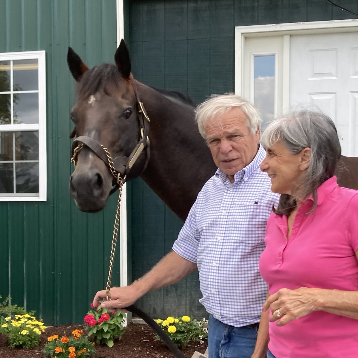 Central Banker has been named the 2024 New York Sire of the Year for the fourth year in a row! 🥳

His success isn’t just about stats—he’s shaping the future of NY breeding with each foal he produces. 🌟

Thank you to all the breeders who support him. Here’s to many more! 🍾