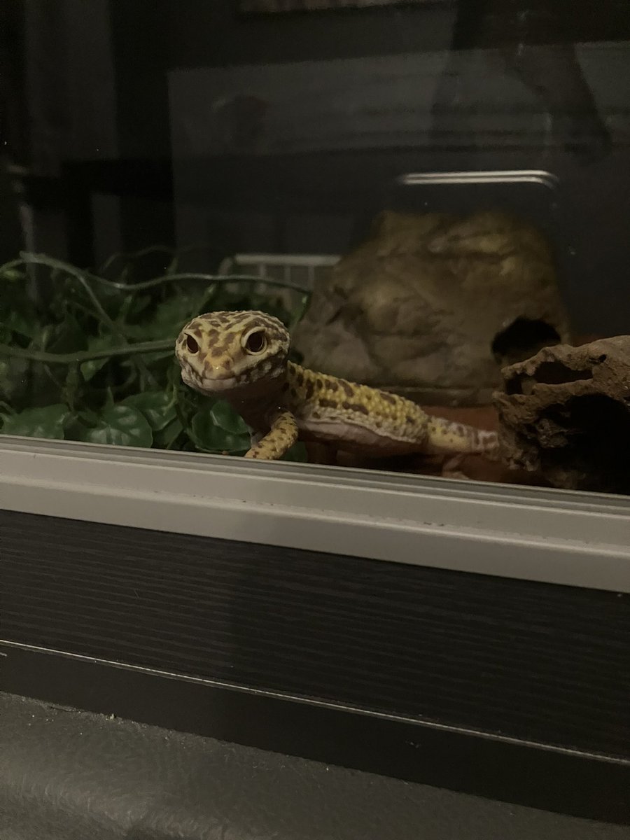 funky little guy says goodnight