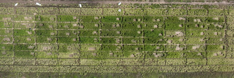 Kuma Ranathungamage tweet media